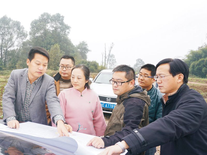 金沙bjs线路检测中心园林绿化维护